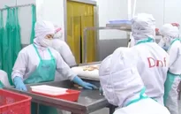 Nông sản Việt tìm giải pháp tăng trưởng cuối năm