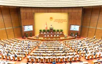 Ngày 23/8, Quốc hội thảo luận về dự án Bộ luật Hình sự (sửa đổi)