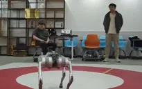 Robot điều khiển bằng não bộ