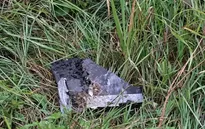 NATO bắn hạ UAV xâm nhập không phận Litva