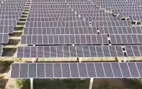 Cú sốc dầu mỏ thúc đẩy chuyển dịch năng lượng
