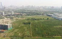 Căn cứ quy hoạch nào để thực hiện thủ tục đất đai?