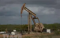 Giá dầu WTI giảm xuống dưới 100 USD/thùng