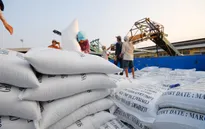 Có thể thu hồi giấy chứng nhận xuất khẩu gạo nếu vi phạm