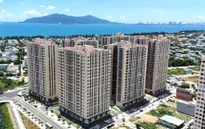 Chính phủ giao chỉ tiêu phát triển nhà ở xã hội, nhà ở cho thuê cho các địa phương