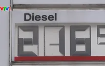 G7 xả kho kỷ lục, khẩn cấp hạ nhiệt giá dầu diesel