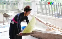 Tuyên Quang: Từ hạt cốm truyền thống đến trải nghiệm du lịch ở Thuận Hòa