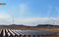 Trung Quốc đề xuất kiểm soát xuất khẩu công nghệ mặt trời