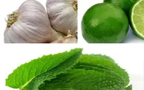 Những bài thuốc đơn giản chữa viêm họng