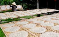 Làng nghề bánh tráng Quảng Nam vào Tết