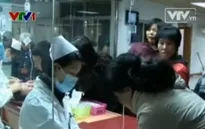 Lo ngại Cúm A/H5N1, H7N9 trên người bùng phát