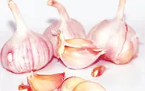 Ăn tỏi giảm nguy cơ ung thư phổi