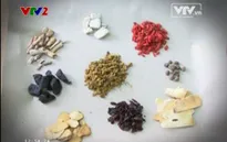 Bài thuốc đơn giản chữa Gan nhiễm mỡ