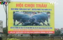 Lần đầu tiên Hà Nội tổ chức hội chọi trâu