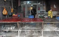 Trung Quốc: Thêm 3 trường hợp nhiễm cúm H7N9