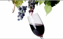 Lễ hội Nho và Vang 2014 sắp diễn ra tại Ninh Thuận