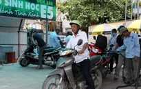 Quảng Ngãi: Giải pháp cho nguồn nguyên liệu xăng sinh học E5
