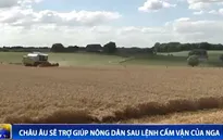 Châu Âu sẽ trợ giúp nông dân sau lệnh cấm vận của Nga