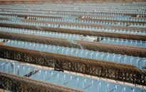 UAE vận hành nhà máy điện mặt trời lớn nhất Trung Đông