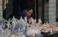 Thêm 2 ca nhiễm H7N9 tại Trung Quốc