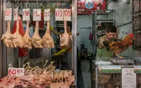 Hong Kong xác nhận ca nhiễm cúm H7N9 đầu tiên