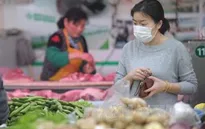 Dịch cúm gia cầm H5N2 bùng phát ở miền Bắc Trung Quốc