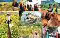 Bác bỏ tin chi 3,5 tỷ USD cho bộ máy thực hiện giảm nghèo