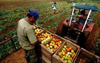 Cuba – EU kết thúc đàm phán về cải thiện quan hệ
