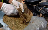 Mỹ và Colombia thu giữ 1,5 tấn cocaine