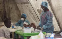 Ngân hàng Thế giới hỗ trợ chống dịch Ebola