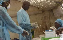 WHO hợp tác với Liên minh châu Phi ngăn chặn dịch Ebola
