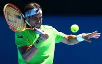 Australian Open 2014: Nole, Ferrer thắng dễ, Tommy Haas bất ngờ dừng bước
