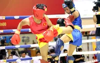 Boxing TP.HCM phát triển rộng nhưng chưa sâu