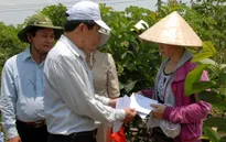 Khắc phục hậu quả lốc xoáy tại huyện Bình Chánh