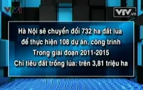 Hà Nội chuyển hơn 700 ha đất lúa làm dự án