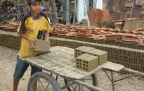 Tỷ lệ lao động trẻ em Việt Nam thấp hơn trung bình thế giới