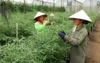 Giải pháp nào cho nhu cầu vốn đầu tư nông nghiệp công nghệ cao?