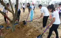 Thừa Thiên Huế đẩy mạnh công tác ứng phó biến đổi khí hậu trong trường học
