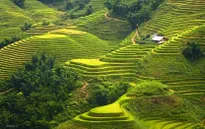 Tây Bắc qua các tác phẩm văn học được giảng dạy trong nhà trường