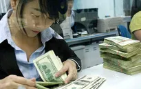 Sức ép lên tỷ giá vẫn còn nhưng không đáng lo ngại