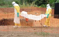 WHO: Dịch Ebola diễn biến nguy hiểm