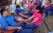 Hà Nội tổ chức Ngày hội hiến máu "Giọt hồng tri ân" 2014