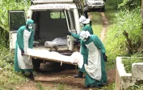 Thành lập Ban chỉ đạo phòng chống dịch Ebola