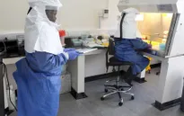 Israel tiến hành nghiên cứu vaccine phòng Ebola