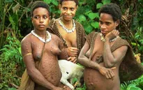 Một bộ tộc người Indonesia vẫn làm nhà trên cây