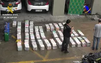 Tây Ban Nha: Tịch thu 900 kg cocaine