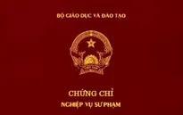 Tạm dừng cấp chứng chỉ nghiệp vụ sư phạm