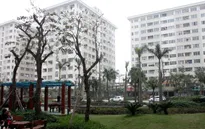 Các doanh nghiệp đẩy mạnh phát triển nhà ở xã hội