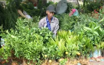 Phiên chợ Viềng tấp nập người "mua may bán rủi"