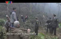 Khi đàn chim trở về 3: Phim chính luận mới trên VTV